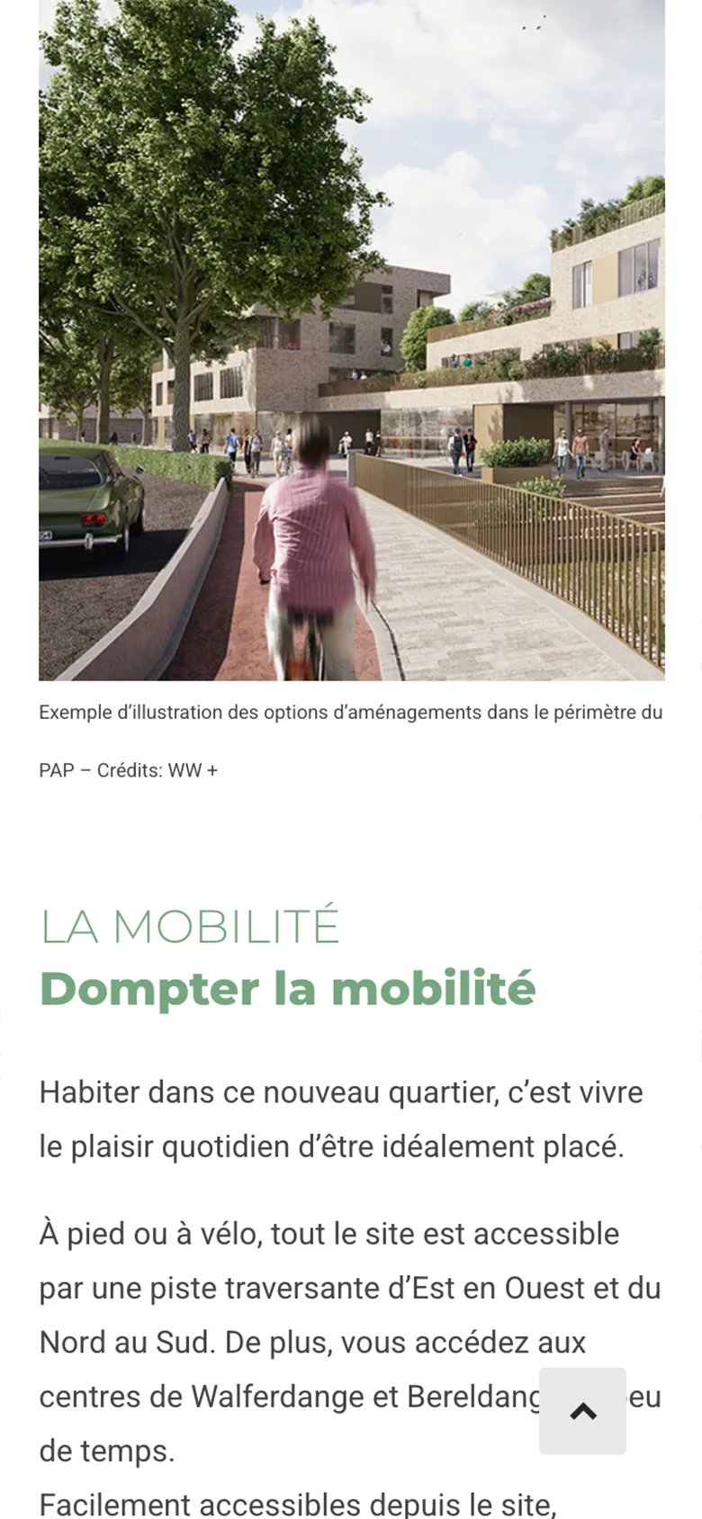Olen sur mobile